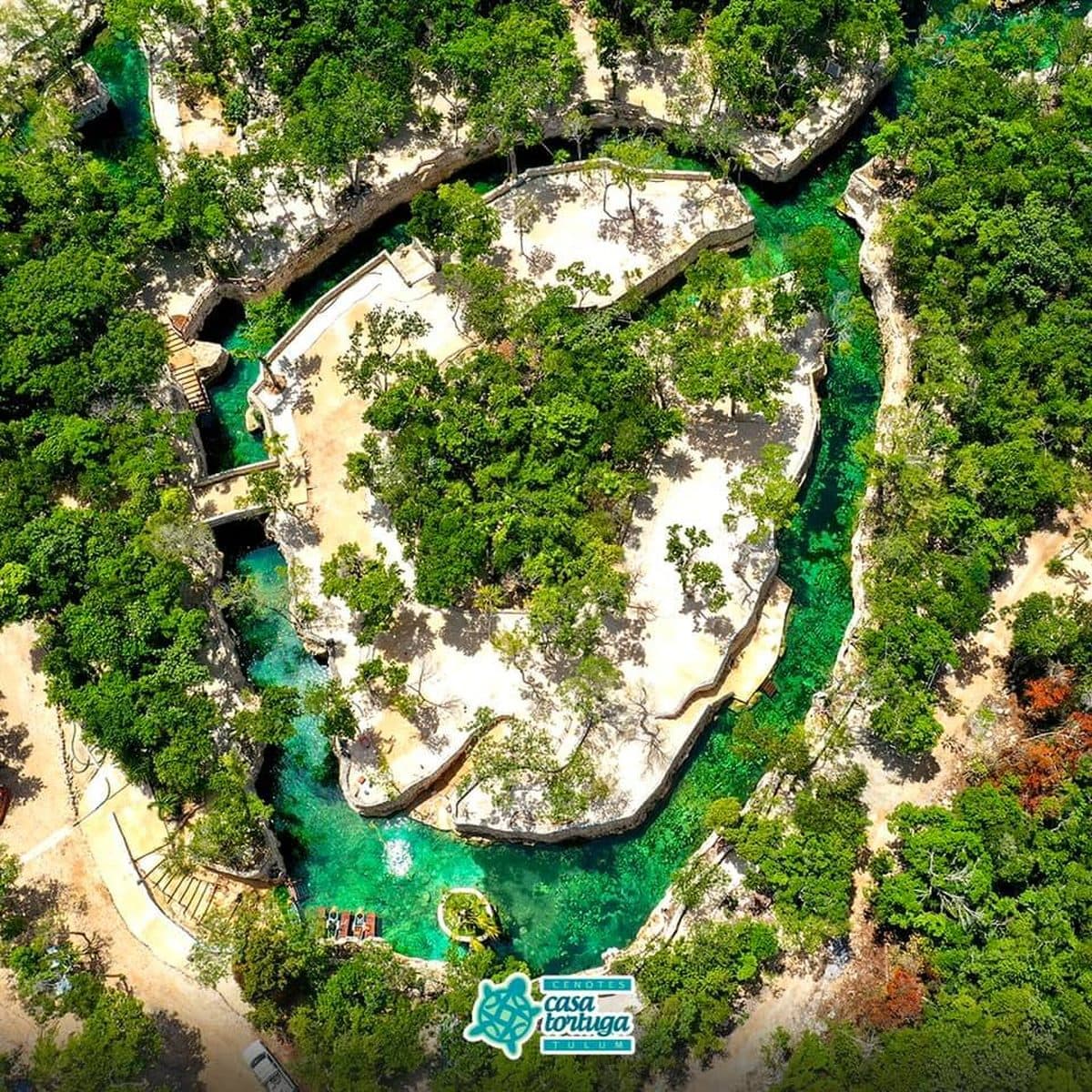 Cenotes Casa Tortuga